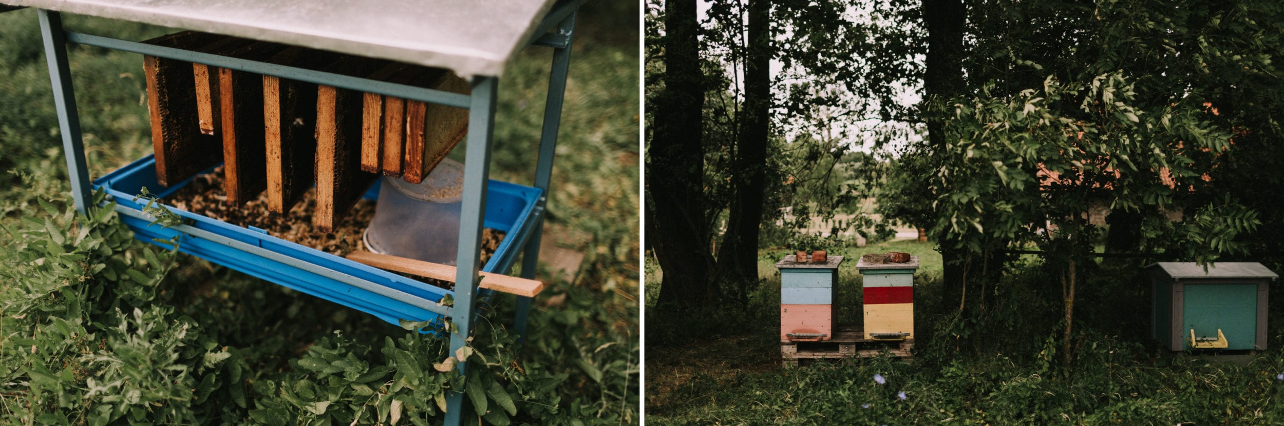 Ola & Maciek <br>Folwark Poganty 30